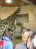 Zoo0002.JPG